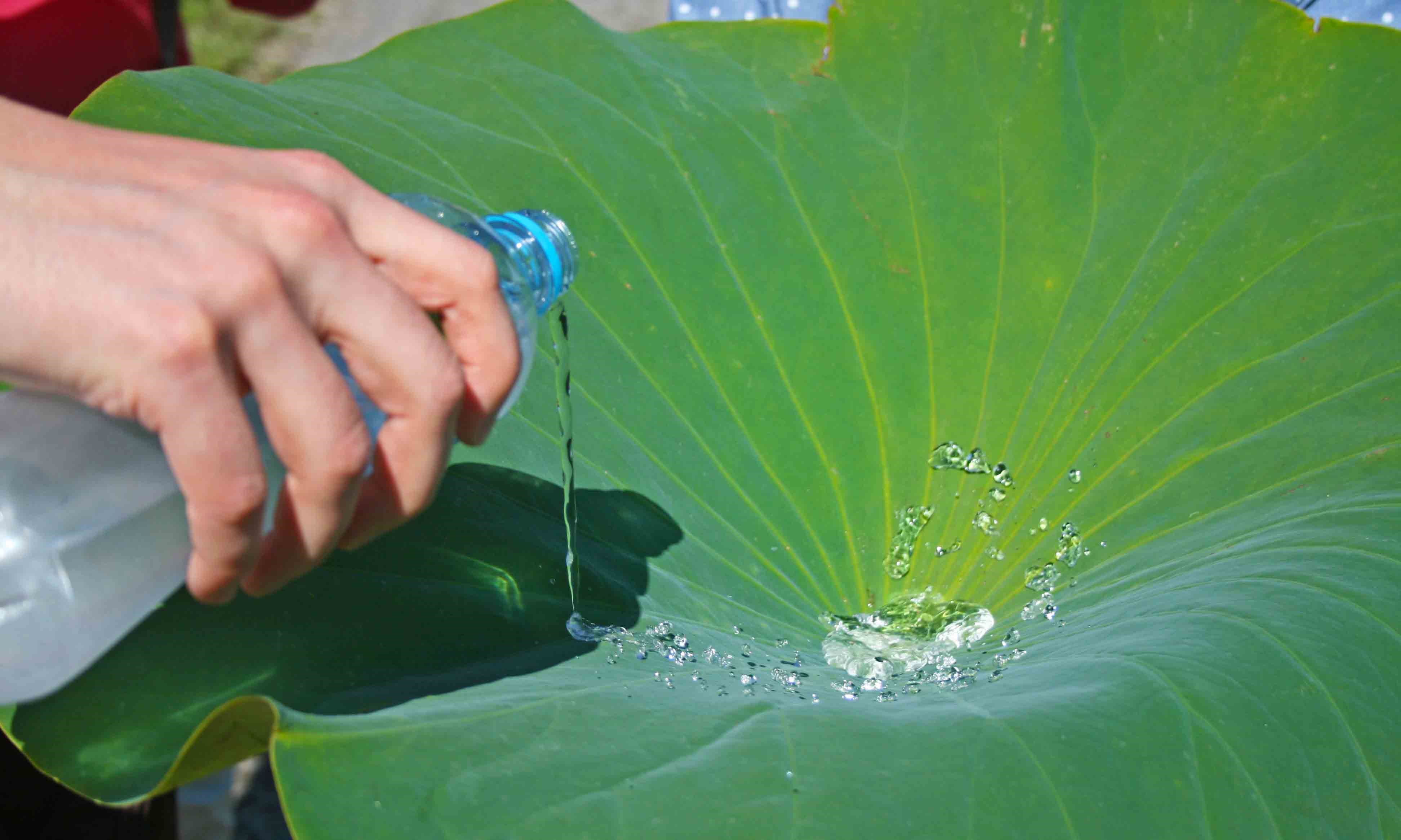 皇家墨爾本（běn）大學研發出（chū）一款（kuǎn）可防水防油汙的生物塑料