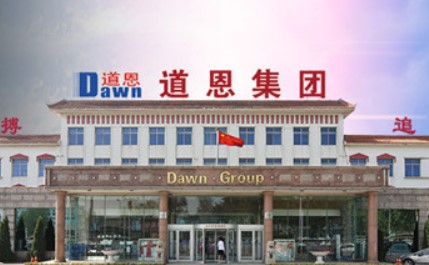 躍（yuè）升19名！從中國（guó）石化企業500強榜單看“道恩力（lì）量”