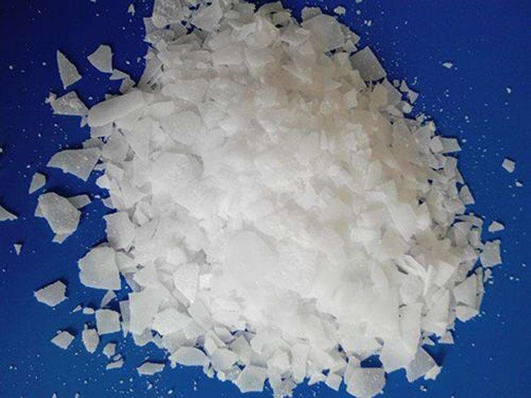 諾力（lì）昂世界級有機過（guò）氧化物基地在津投產，支持亞洲（zhōu）聚合物行業發展