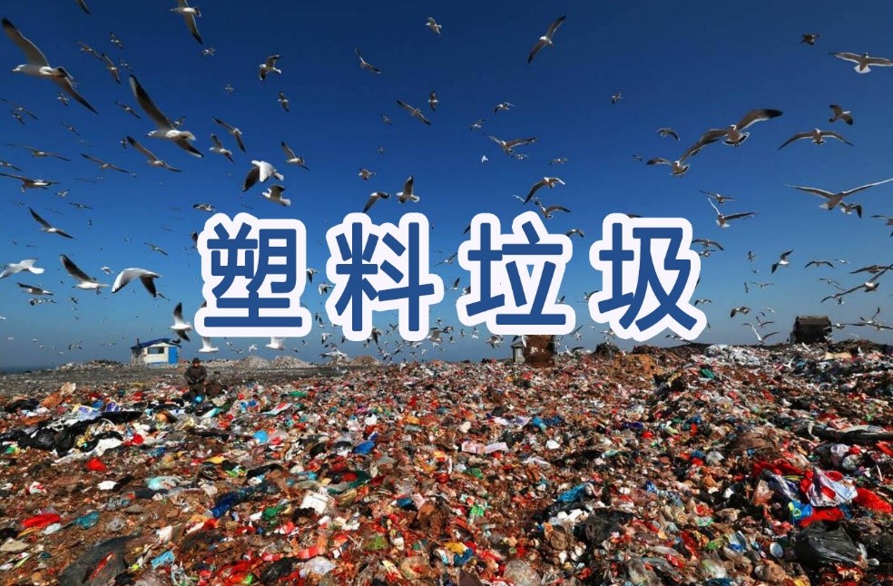 美報告：美國是全球最大塑料垃圾（jī）製造者  提（tí）出解決（jué）塑料垃圾問題的建議