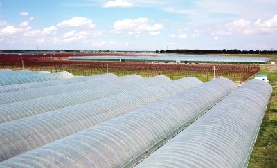 大慶石化高檔寬幅棚膜專用樹脂新產品（pǐn）成為提質增效新亮點