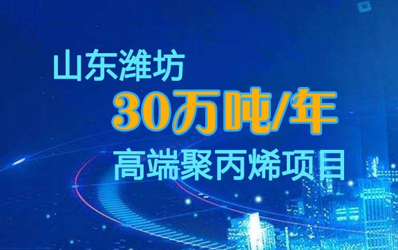 十建濰（wéi）坊聚丙（bǐng）烯項目（mù）全（quán）力衝刺保中（zhōng）交