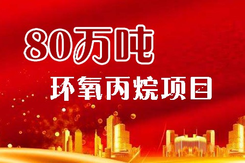 衛星化學連雲（yún）港新建80萬噸環（huán）氧丙烷項目