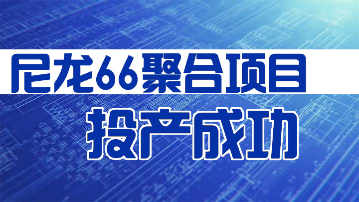 新力新材“尼龍66聚合項目”正式投（tóu）產成功