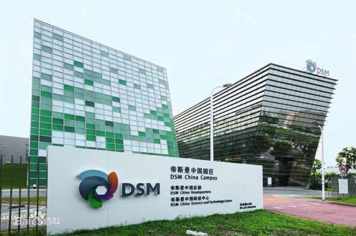 淨利潤8.58億歐元！帝（dì）斯（sī）曼加快戰（zhàn）略轉型 聚焦綠色（sè）材料