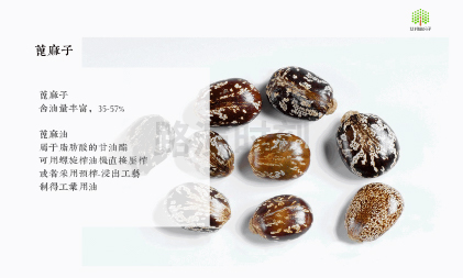 特種高溫尼龍（lóng）市場需求持續（xù）攀升，細分賽道國產替（tì）代逐步推進