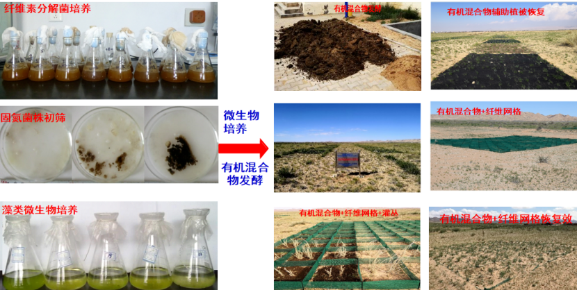 聚乳酸在荒漠化治理中（zhōng）成果斐然！