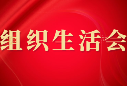 20241015-聯（lián）合黨支部（bù）召開（kāi）黨員大會